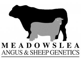 Meadowslea Logo 2