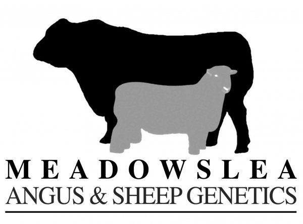 Meadowslea Logo 1